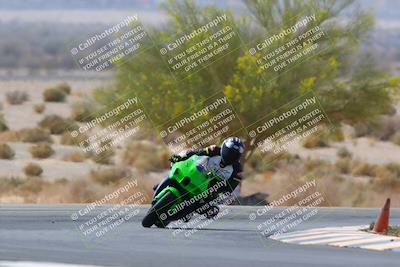 media/Apr-10-2022-SoCal Trackdays (Sun) [[f104b12566]]/Turn 5 Tree of Life (1040am)/